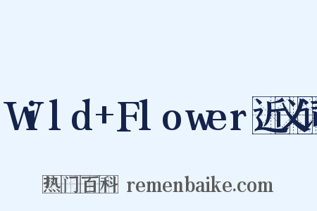 Wild+Flower近义词是什么意思的图片
